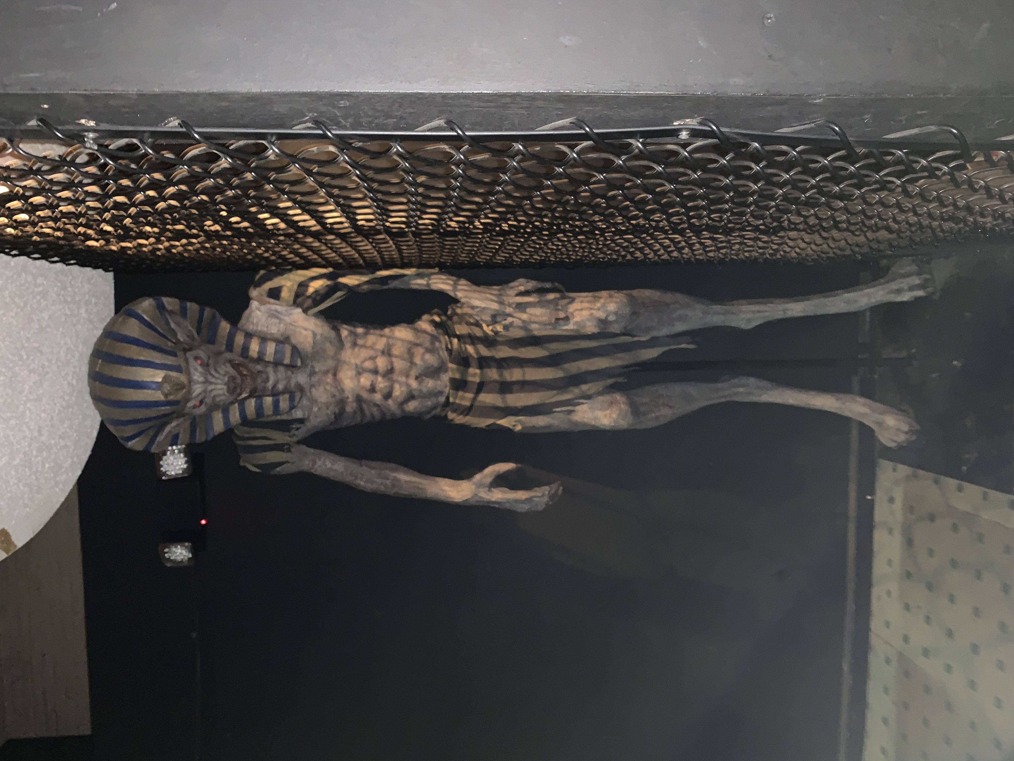 ./2022/06 - St Louis/06 - Day 6/20220526-152338525.JPG